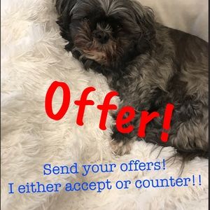 Send your offers!